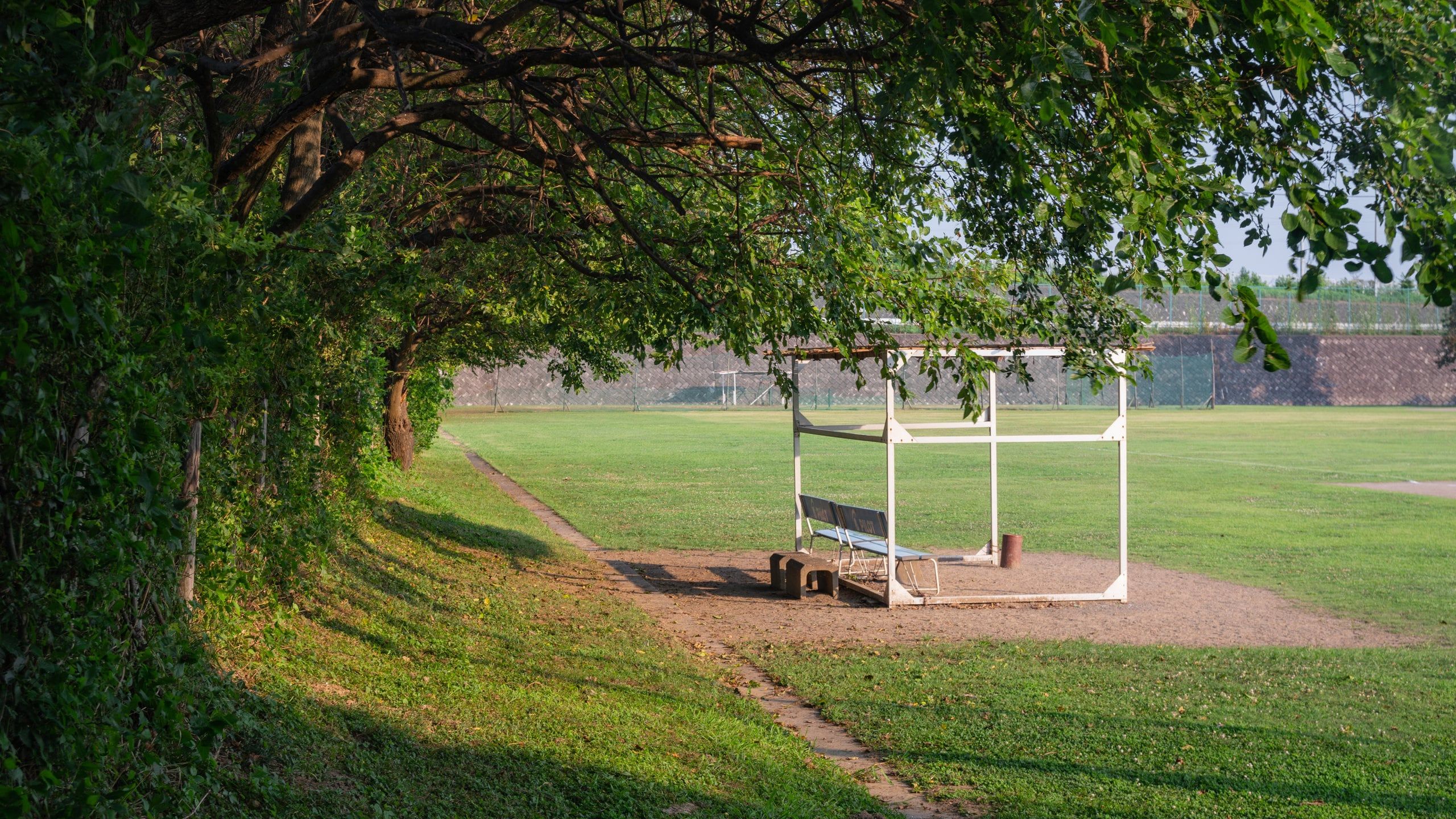 🌳 아키가세 공원 이미지 4